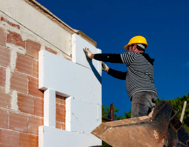 Best Commercial Insulation Contractor  in Webster Groves, MO
