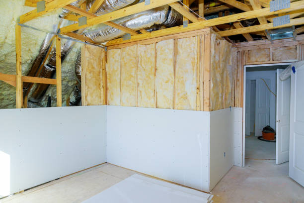 Best Insulation Removal Services  in Webster Groves, MO