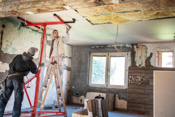 Best Home Insulation Services  in Webster Groves, MO