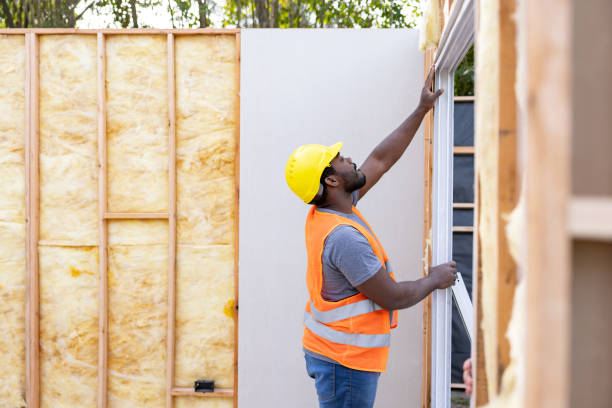 Best Professional Insulation Contractor  in Webster Groves, MO