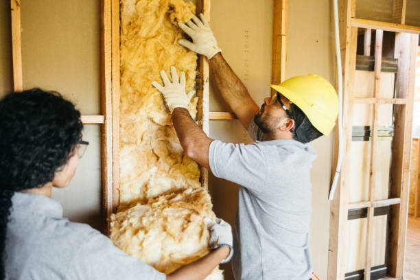 Best Insulation Contractor Near Me  in Webster Groves, MO
