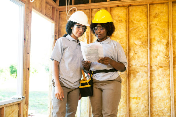 Best Insulation Replacement Services  in Webster Groves, MO