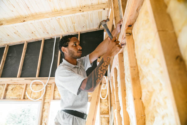 Best Insulation Installation Cost  in Webster Groves, MO