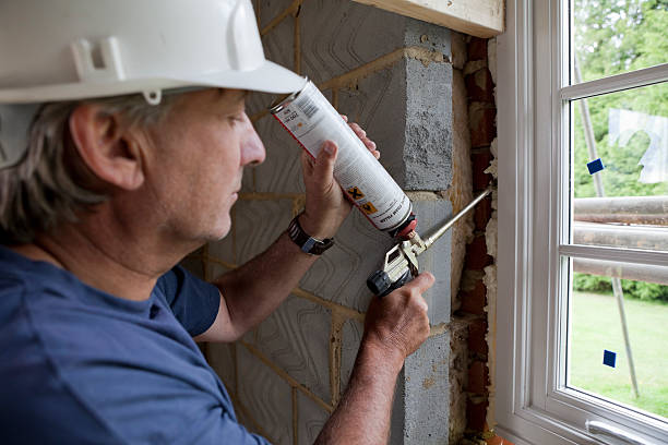 Best Cellulose Insulation  in Webster Groves, MO