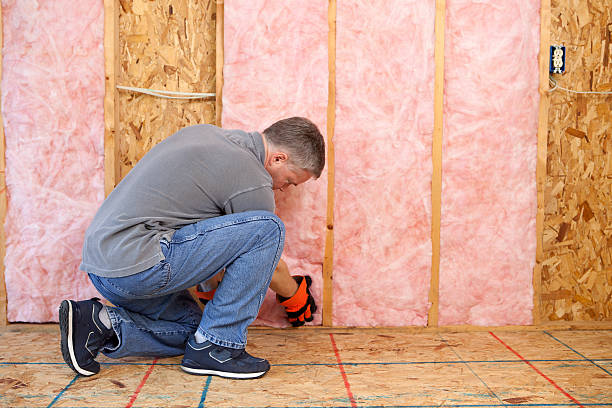Best Crawl Space Insulation  in Webster Groves, MO