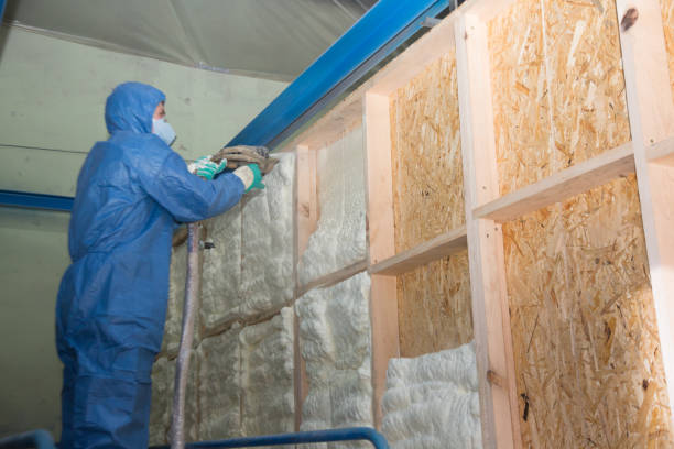 Best Garage Insulation Installation  in Webster Groves, MO